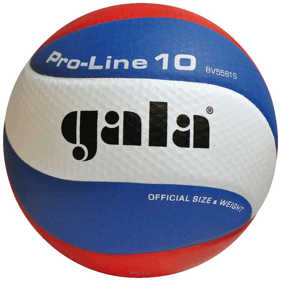 Фотографии Gala Pro Line 10 BV 5581 S (5 размер, белый/синий/красный)