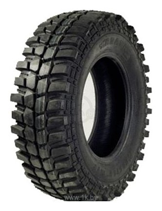 Фотографии Brasa Mudster M/T 245/75 R16 108/104Q