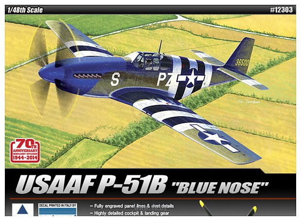Фотографии Academy North American P-51B Blue Nose 1/48 12303