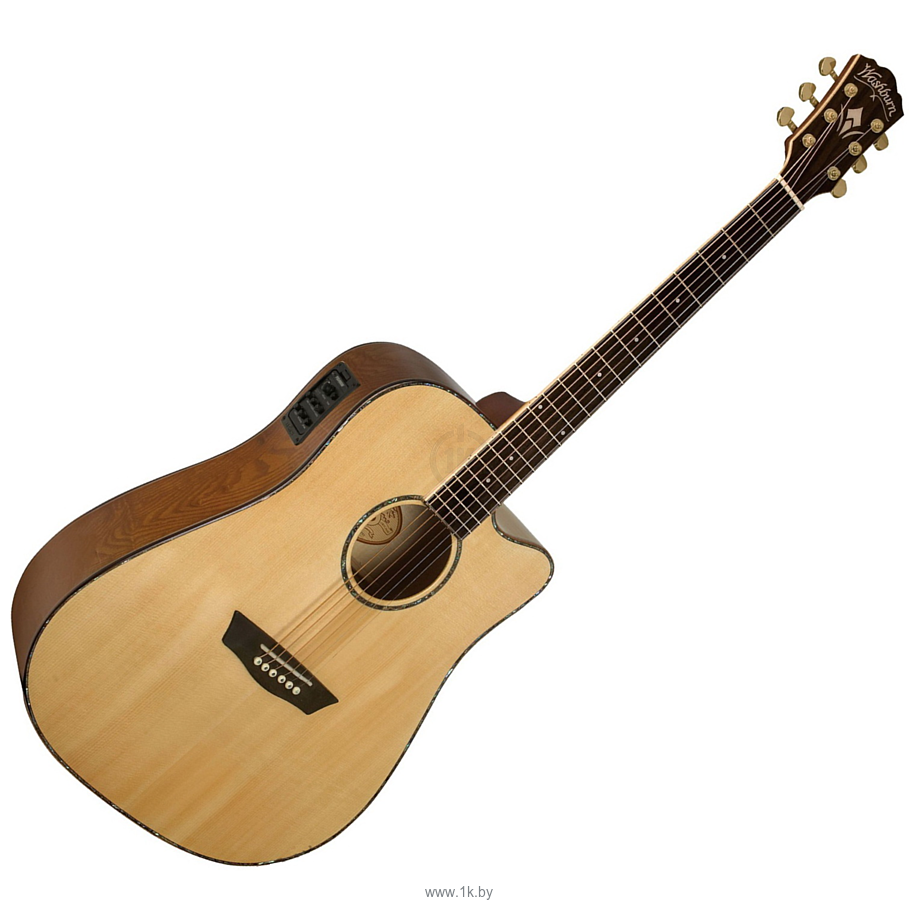 Фотографии Washburn WD35SCE