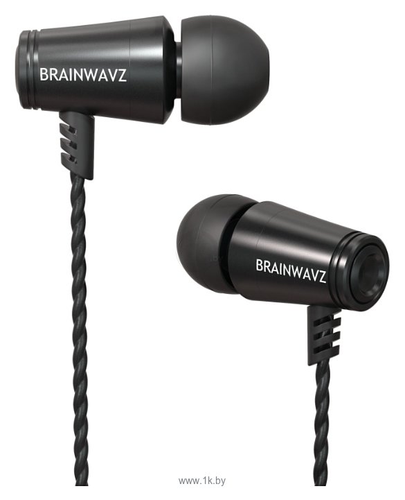 Фотографии Brainwavz M100