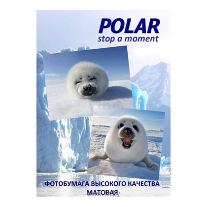 Фотографии Polar A4K24025 универсальная, 24 деления, A4, 100 г/м2, 25 л