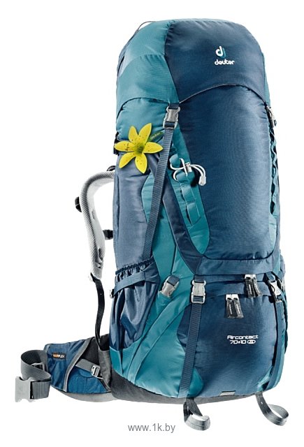 Фотографии Deuter Aircontact 70+10 SL blue (midnight/denim)