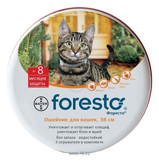 Фотографии Форесто (Bayer) Ошейник для кошек 38 см
