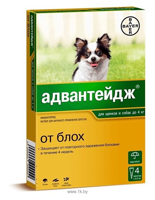 Фотографии Bayer Адвантейдж для собак до 4кг (4 пипетки)