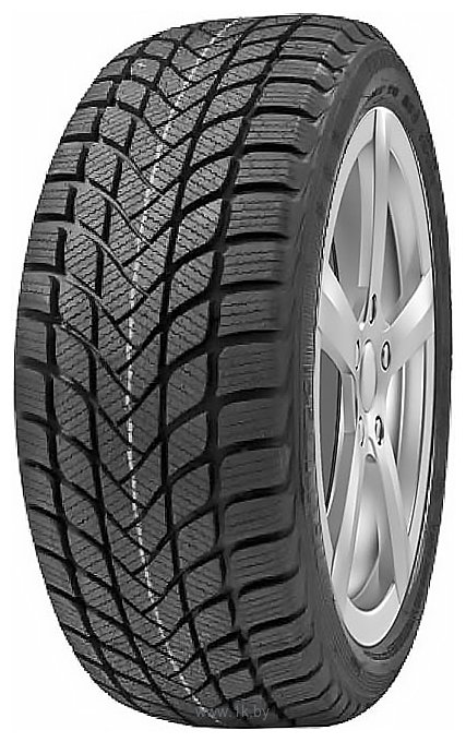 Фотографии Delinte Winter WD6 225/55 R16 99V