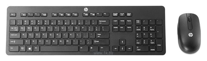 Фотографии HP T6L04AA black USB