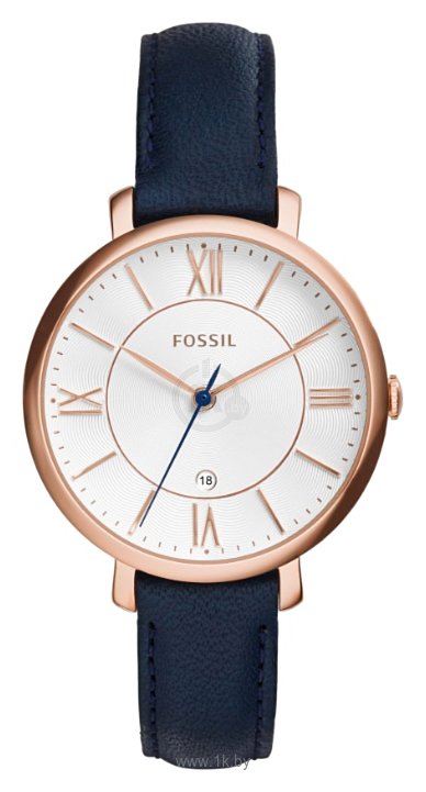 Фотографии Fossil ES3843