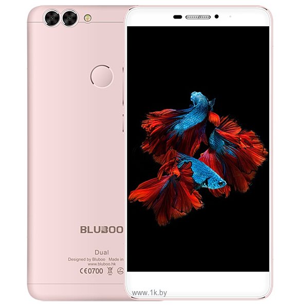 Фотографии Bluboo Dual