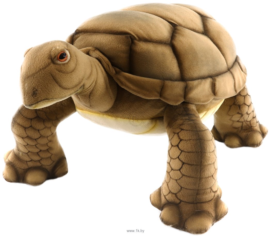 Фотографии Hansa Сreation Галапагосская черепаха 6595 (70 см)