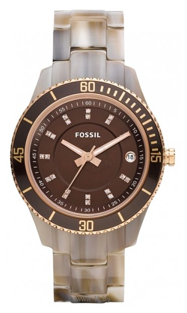 Фотографии Fossil ES3090