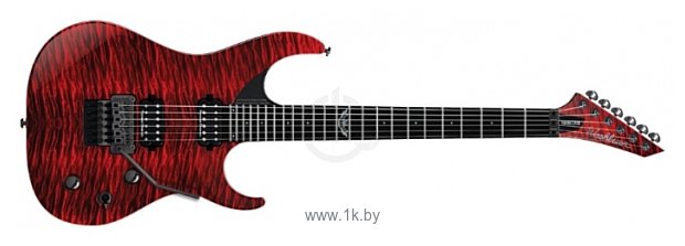 Фотографии Washburn PXS10FRQTR