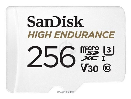 Фотографии SanDisk SDSQQNR-256G-GN6IA