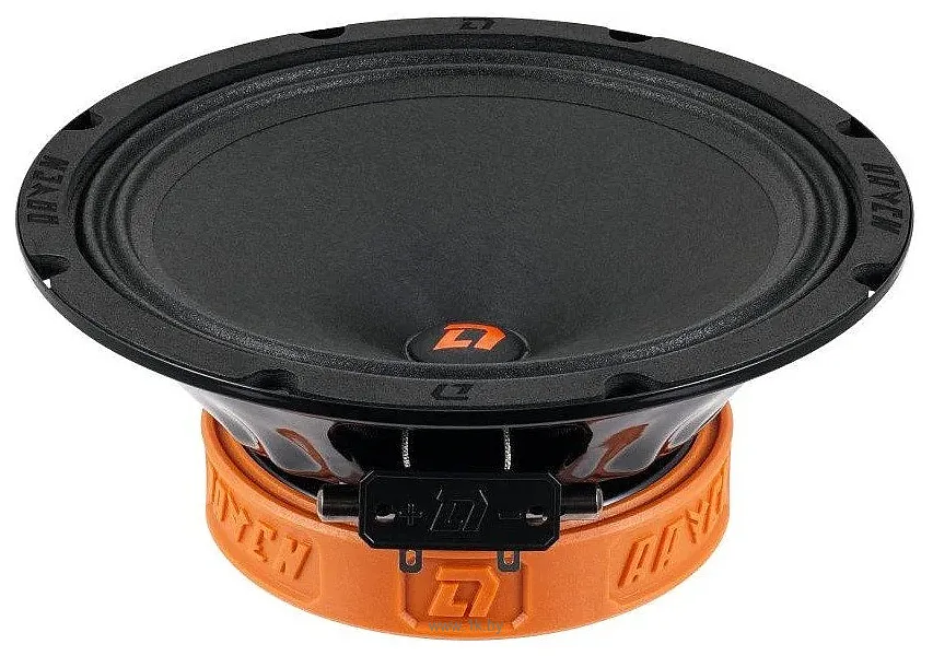 Фотографии DL Audio Raven 200 v2