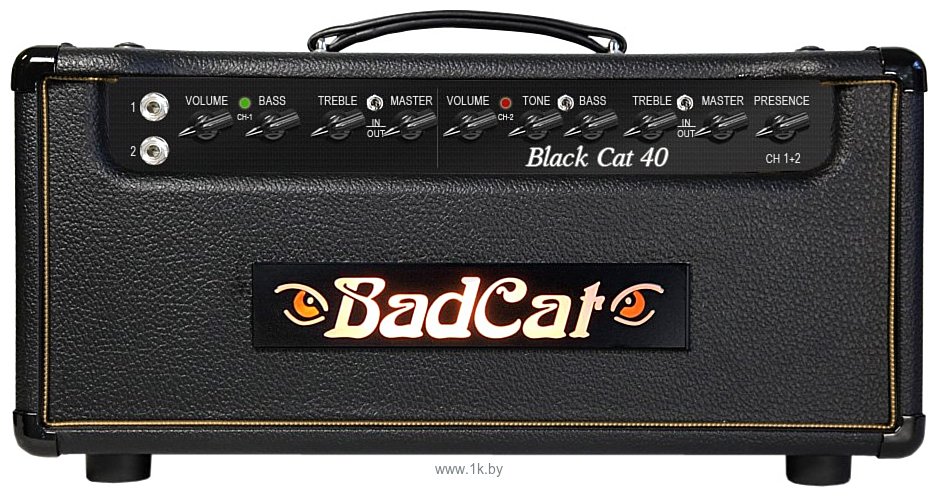 Фотографии Bad Cat Black Cat 40