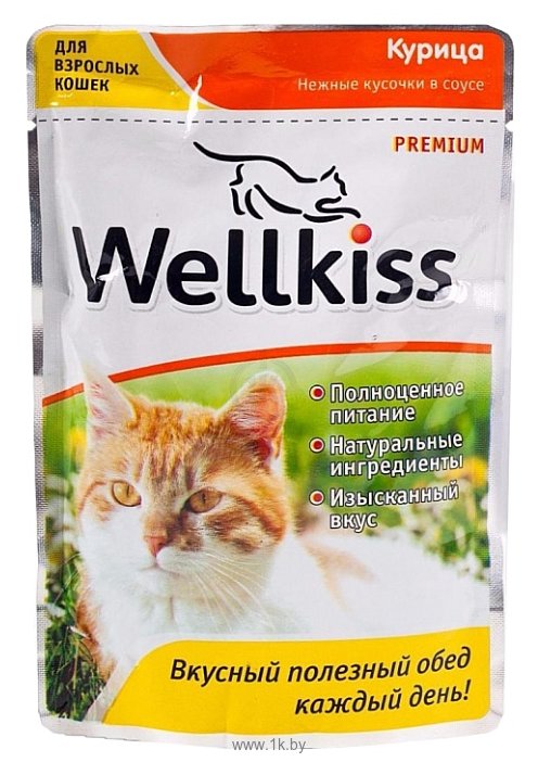 Фотографии Wellkiss Нежные кусочки курица для кошек пауч (0.1 кг) 1 шт.