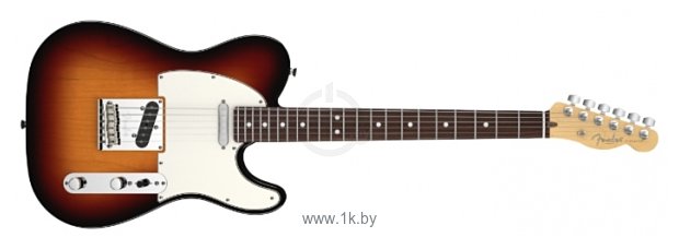 Фотографии Fender American Standard Telecaster