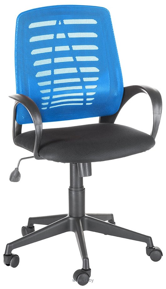 Фотографии OLSS Ирис (черный/синий)