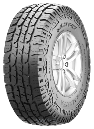 Фотографии Austone SP-308 245/65 R17 111T