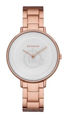 Фотографии Skagen SKW2331