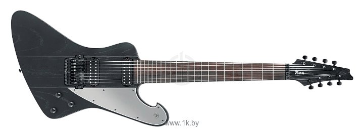 Фотографии Ibanez FTM33