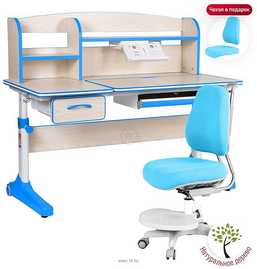 Фотографии Anatomica Uniqa + надстройка + подставка для книг с голубым креслом Ragenta (клен/голубой)