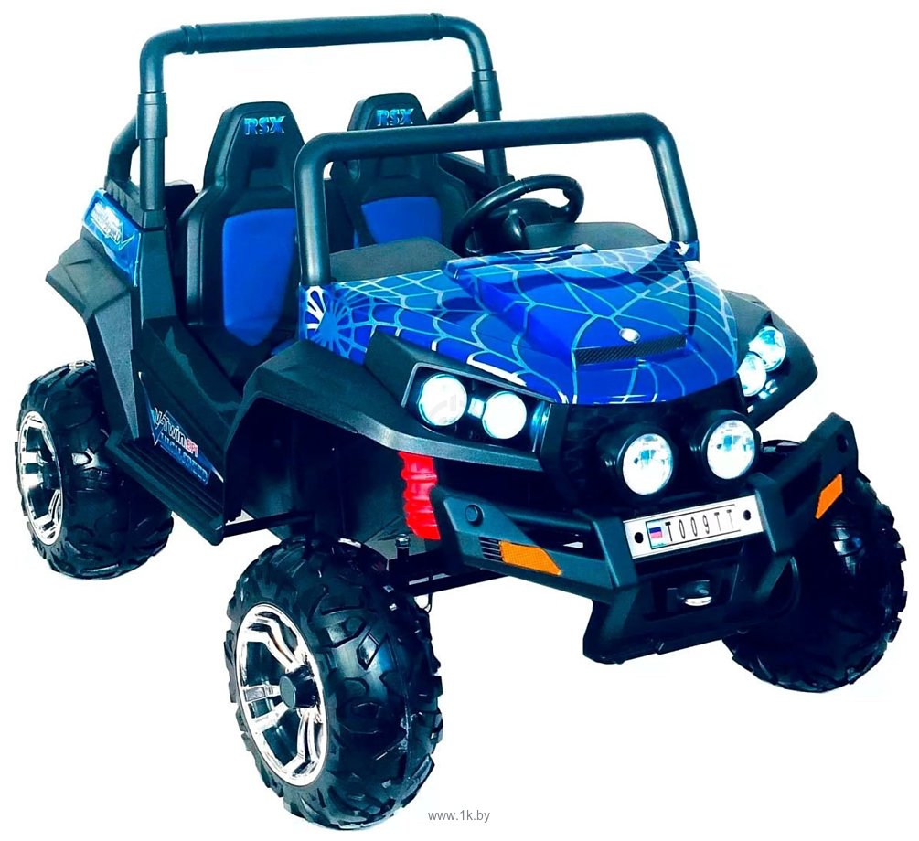 Фотографии RiverToys Buggy 4WD T009TT Spider (синий)