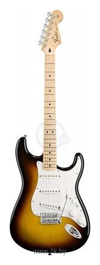 Фотографии Fender Standard Stratocaster RW