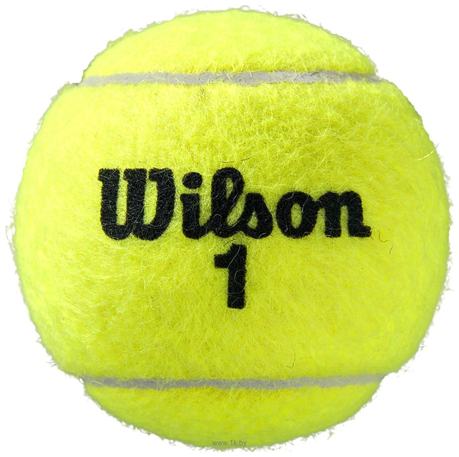 Фотографии Wilson Roland Garros All Court WRT116400 (4 шт)