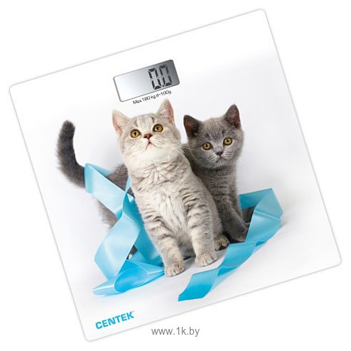 Фотографии CENTEK CT-2426 Kitten