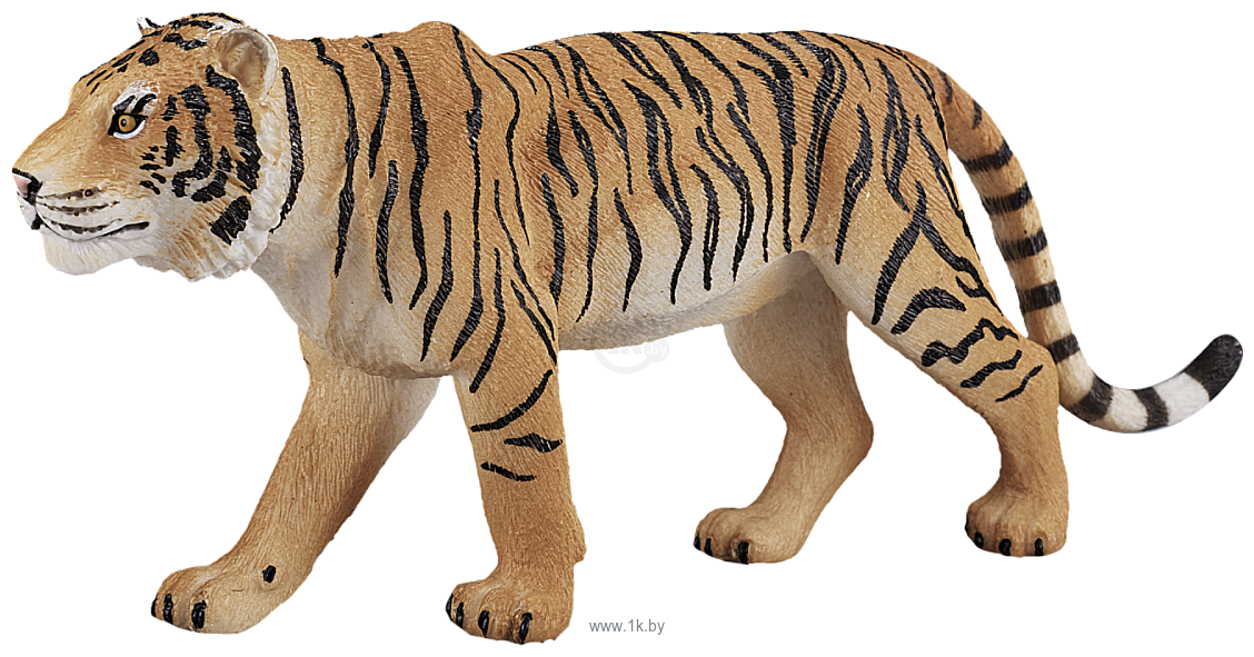 Фотографии Konik Бенгальский тигр AMW2021