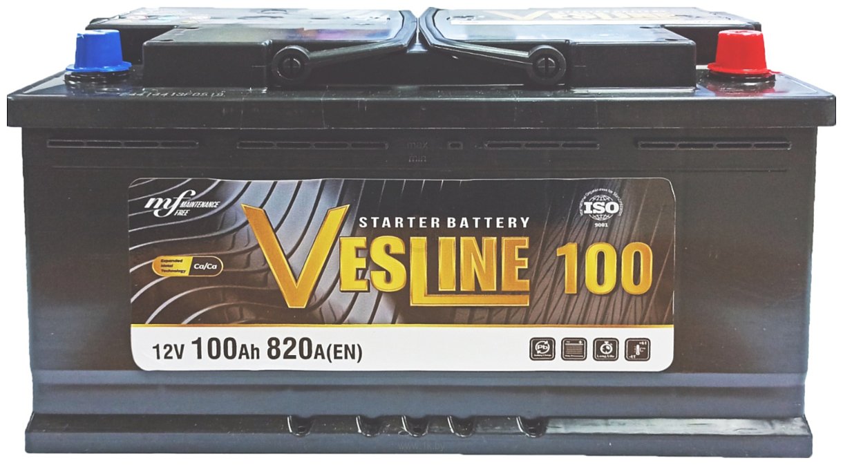 Фотографии Vesline 820A R+ (100Ah)