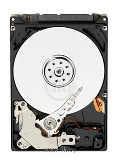 Фотографии Western Digital WD10JUCT