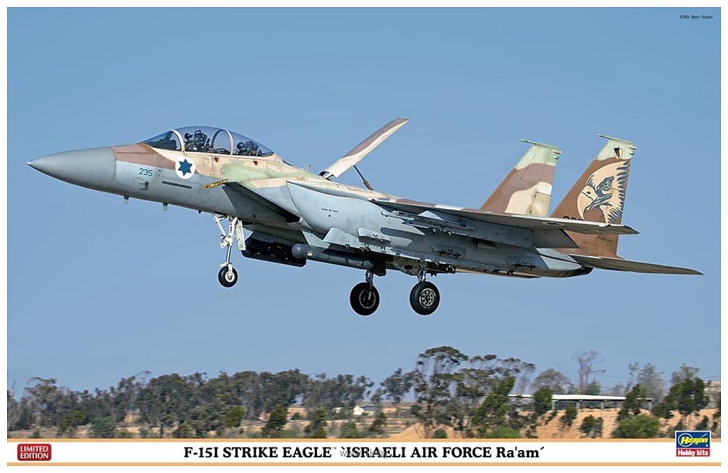 Фотографии Hasegawa Истребитель F-15I Strike Eagle Israeli Ra'am