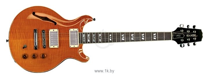 Фотографии Hamer Guitars Artist Custom