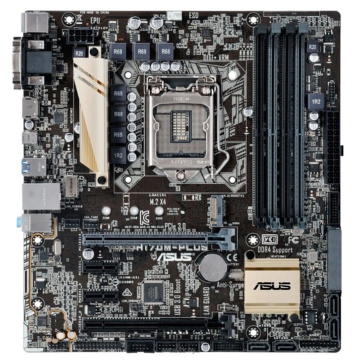 Фотографии ASUS H170M-PLUS