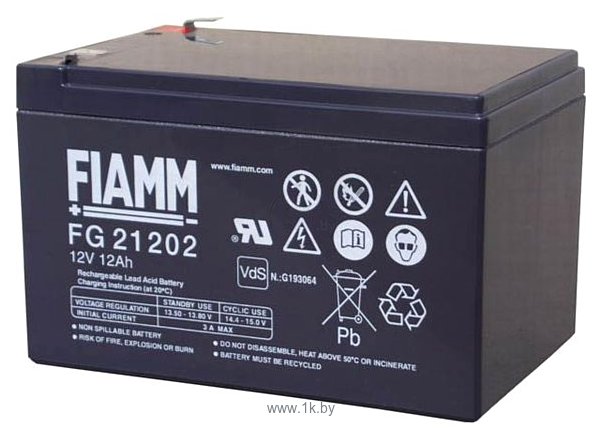 Фотографии FIAMM FG21202