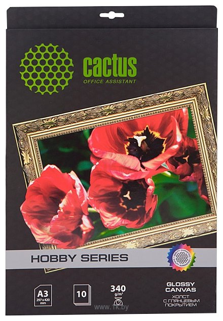 Фотографии CACTUS Хлопковый холст A3 340 г/кв.м. 10 листов (CS-СGA326010)