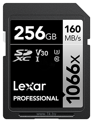 Фотографии Lexar Professional 1066x SDXC LSD1066256G-BNNNG 256GB