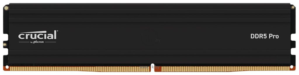Фотографии Crucial Pro CP24G56C46U5