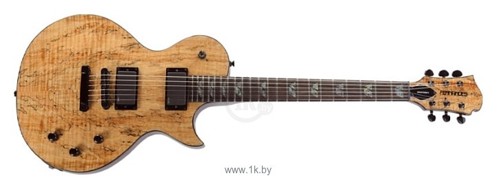 Фотографии Fernandes Guitars Monterey Spalted