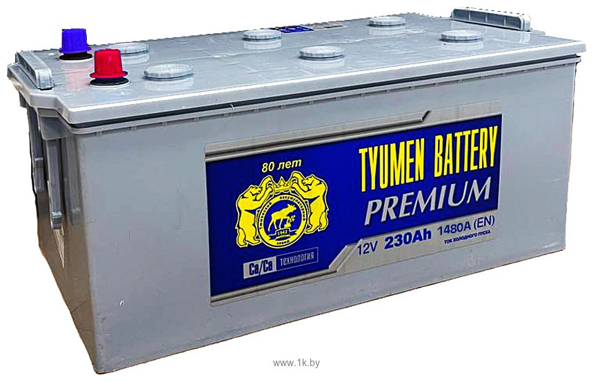 Фотографии Tyumen Battery Premium R+ (230Ah)