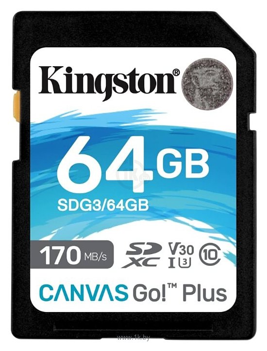 Фотографии Kingston Canvas Go! Plus SDXC 64GB