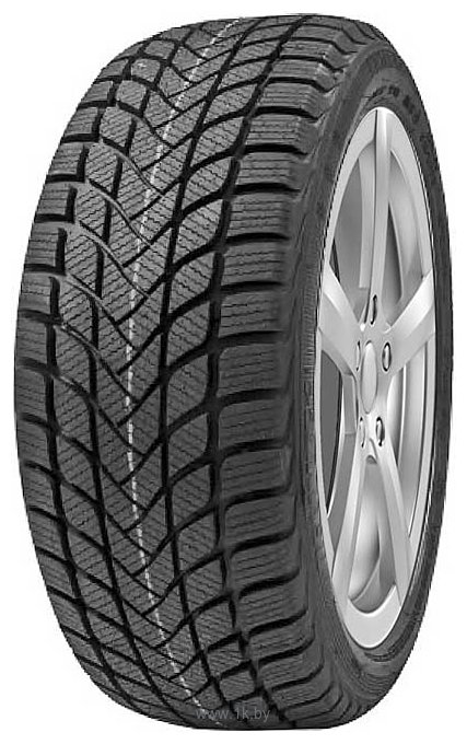 Фотографии Delinte Winter WD6 205/55 R17 95H