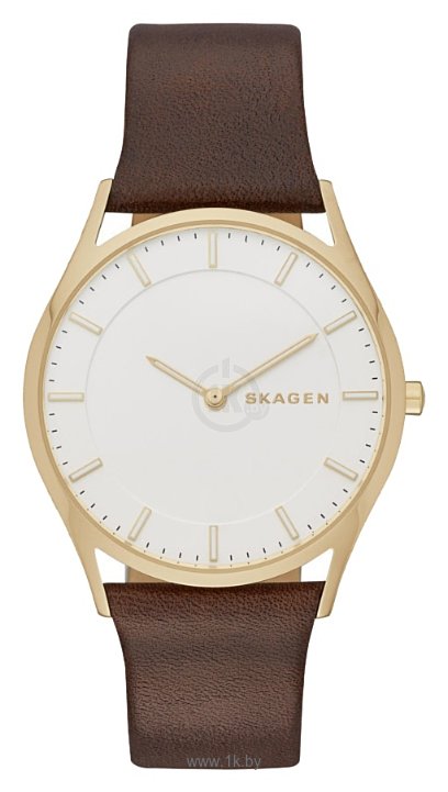 Фотографии Skagen SKW6225