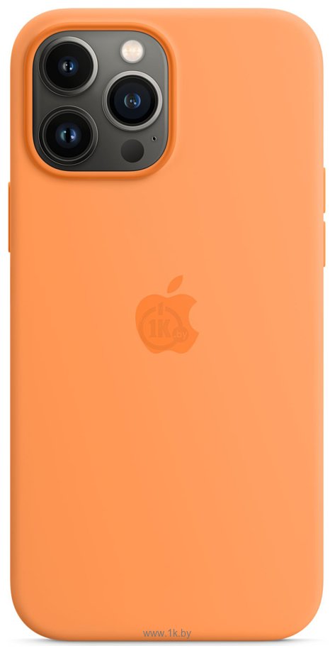 Фотографии Apple MagSafe Silicone Case для iPhone 13 Pro Max (весенняя мимоза)
