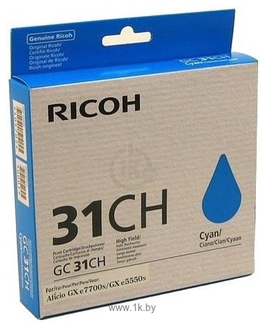 Фотографии Аналог Ricoh GC 31CH (405702)