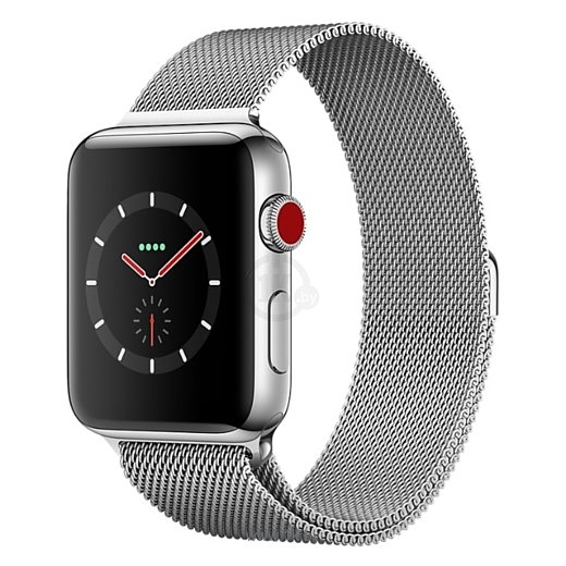 Фотографии Apple Watch Series 3 Cellular 42mm Stainless Steel Case with Milanese Loop