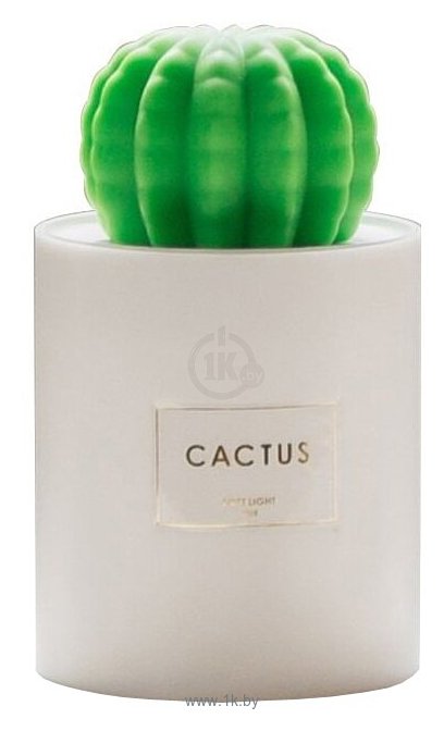 Фотографии GSMIN Cactus