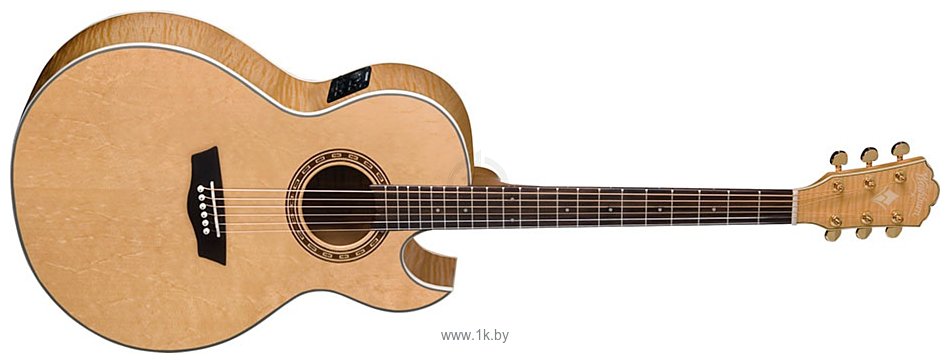 Фотографии Washburn EA40SCE